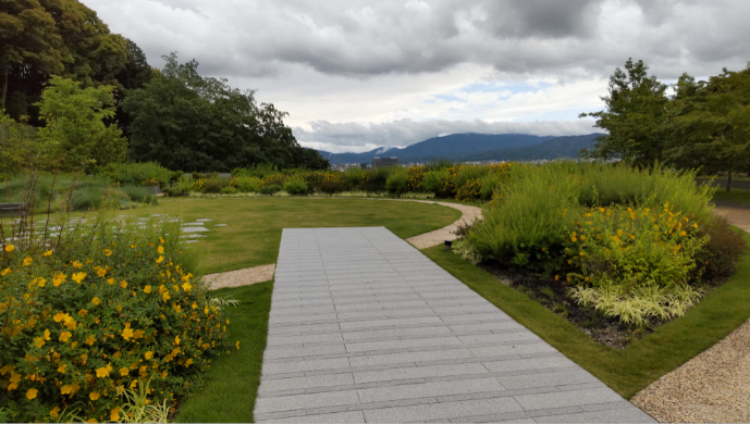 屋上庭園の風景