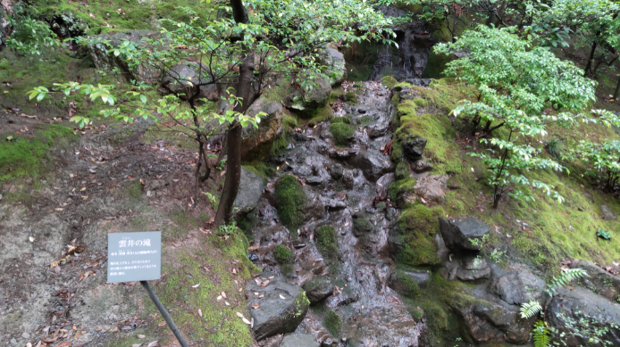 水が流れる雲井の滝