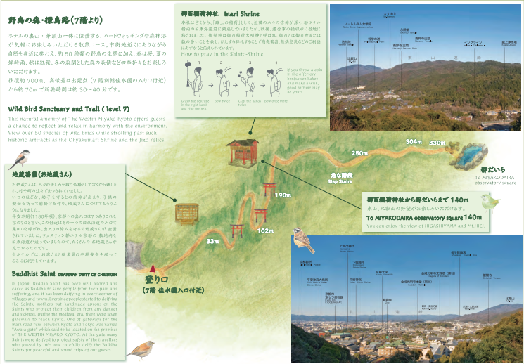 野鳥の森・探鳥路のコース図