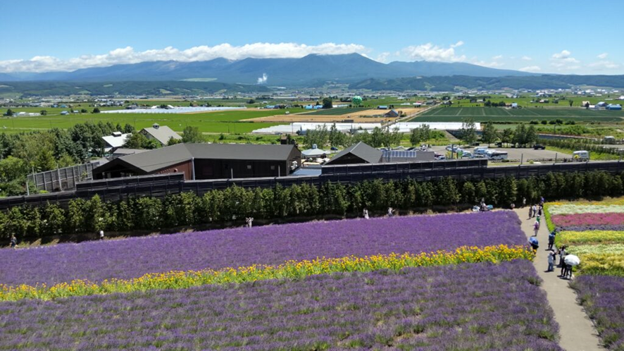 ファーム富田から見た富良野の風景