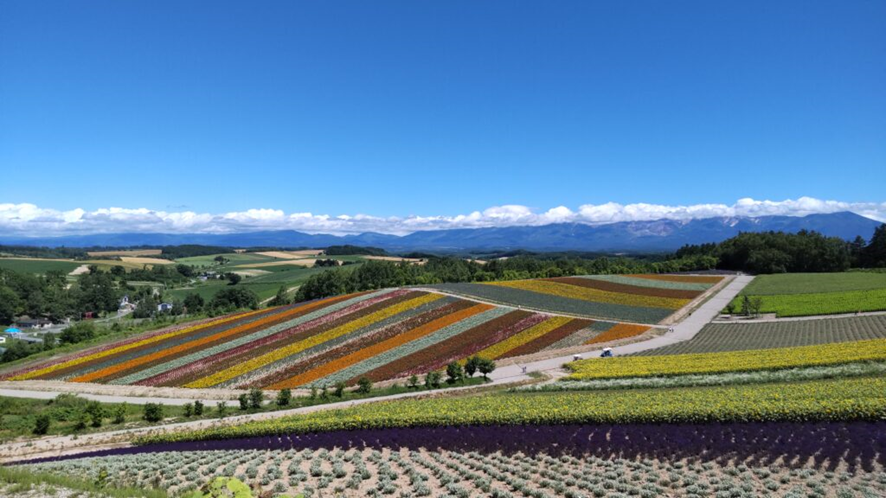 四季彩の丘の風景